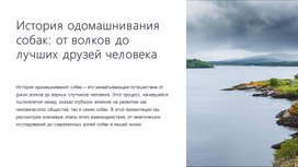 Обложка для материала История одомашнивания собак: от волков до лучших друзей человека.