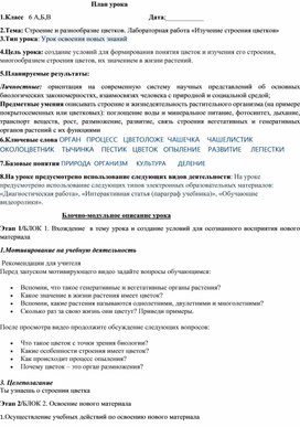 Конспект урока по теме: "Строение цветка".