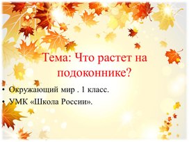 Презентация к уроку окружающий мир тема урока "Что растет на подоконнике?"