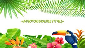 Презентация "Многообразие птиц"