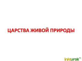 Обложка для материала Презентация о царстве живой природы