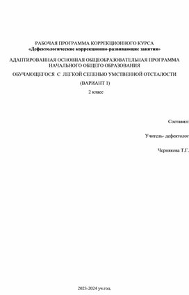 Обложка для материала РАБОЧАЯ ПРОГРАММА КОРРЕКЦИОННОГО КУРСА  «Дефектологические коррекционно-развивающие занятия»