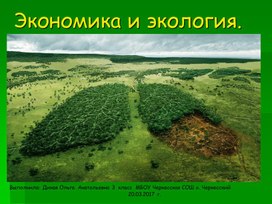 Презентация по окружающему миру «Экология и экономика»