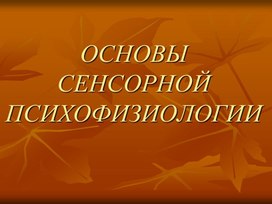 Статья на тему "Грамматическая омонимия в русском языке"