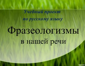 Учебный проект  по русскому языку. Фразеологизмы в нашей речи