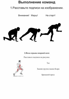 Обложка для материала Задания по теории. 6 класс. Спринтерский и гладкий равномерный бег.