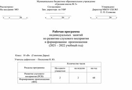 Рабочая программа по развитию слухового восприятия и формированию произношения