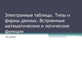 Обложка для материала Электронные таблицы. Типы и формы данных. Встроенные математические и логические функции