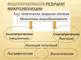 Презентация на тему "Видообразование"