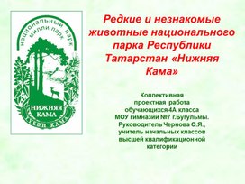 Презентация  "Нижняя Кама" Исследовательский проект