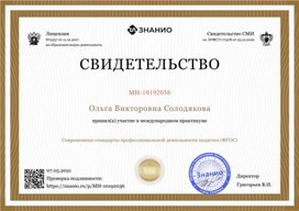 Обложка для материала Свидетельство практикума "Современные стандарты педагога (ФГОС)"