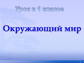 Обложка для материала Почему нужно чистить зубы и мыть руки?