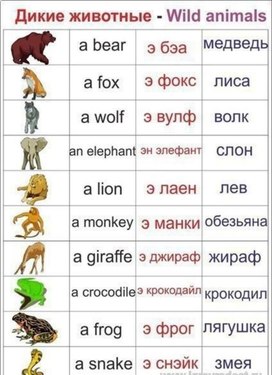 Обложка для материала англяз