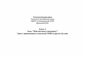 Обложка для материала Технологическая карта Тема:"Мой питомец ( описание)." Урок с применением технологии ТРИЗ и кругов Луллия