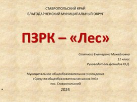 Обложка для материала Презентация проекта "ПЗРК "Лес" Победитель регионального этапа ВсОШ по технологии, 2023 год