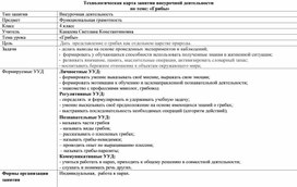 Обложка для материала "Грибы"