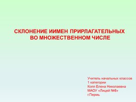 Склонение имени прилагательного во множественном числе