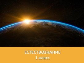 Презентация к уроку Естествознание 1 класс по теме "Когда становится темно""