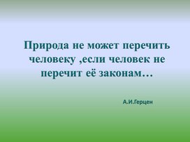 Презентация к  уроку по окружающему миру "Жизнь луга"