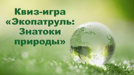 Обложка для материала Квиз-игра "Экологический патруль" для начальной школы