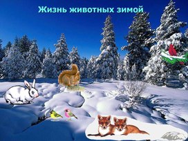 "Жизнь животных зимой"