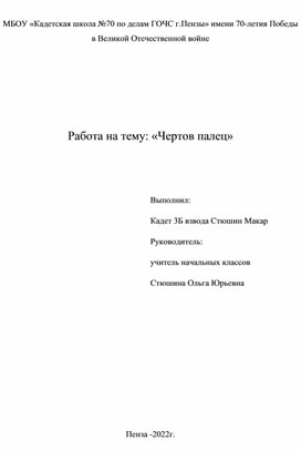 Работа НПК по предмету "Окружающий мир"