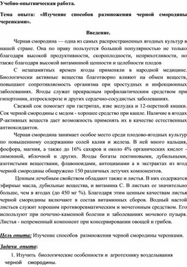 «Изучение способов размножения черной смородины черенками».