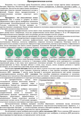 Прокариотическая клетка