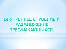 Презентация по теме "Внутреннее строение пресмыкающихся"