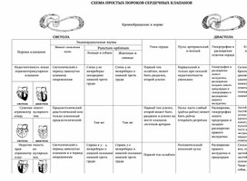 Обложка для материала СХЕМА ПРОСТЫХ ПОРОКОВ СЕРДЕЧНЫХ КЛАПАНОВ