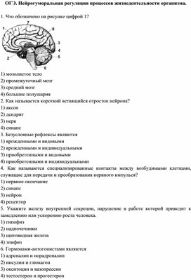 ОГЭ. Нейрогуморальная регуляция процессов жизнедеятельности организма.