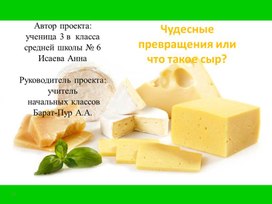 Исследовательская работа "Чудесные превращения или что такое сыр?"