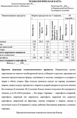 Обложка для материала Отчет о практике специальности 19.02.10.