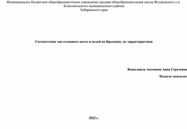 Соответствие зон головного мозга и полей по Бродману, их характеристики