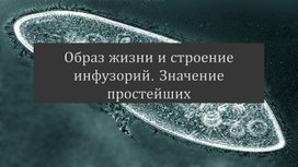 Презентация на тему "Образ жизни и строение инфузорий"