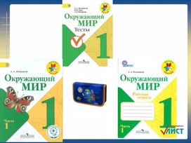 Презентация к уроку  по окружающему миру в 1 классе "Что такое Родина"