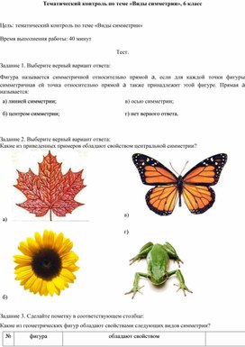 Обложка для материала Тематический контроль по теме «Виды симметрии», 6 класс
