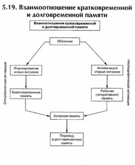 Обложка для материала материал по психофизиологии