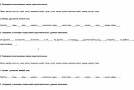 Обложка для материала Самостоятельная работа по теме "Имя существительное" 4 класс