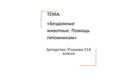 Групповой проект 11 класса "Бездомные  животные. Помощь питомникам"