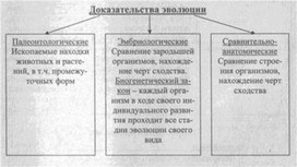 Материал к урокам  биологии