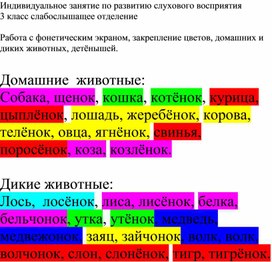 Обложка для материала Индивидуальное занятие по развитию слухового восприятия 3 класс слабослышащее отделение