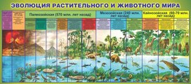 Обложка для материала эволюция