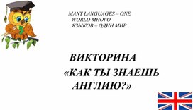 Перед викториной по английскому языку