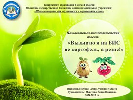 Обложка для материала Познавательно-исследовательский проект: "Вызываю я на бис не картофель, а редис!"