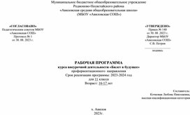 ПРОГРАММА ВНЕУРОЧНОЙ ДЕЯТЕЛЬНОСТИ "бИЛЕТ В БУДУЩЕЕ"