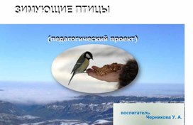 Зимующие птицы в России