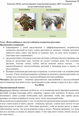Конспект НОД с использованием здоровьесберегающих, ИКТ-технологий    Тема: «Влаголюбивые и засухоустойчивые комнатные растения»