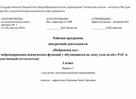 Обложка для материала «Нейроимпульс»  нейрокоррекция психических функций у обучающихся на дому (для детей с РАС и умственной отсталостью)
