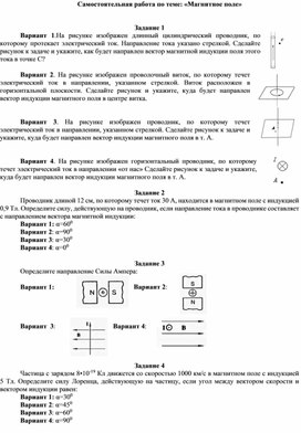 Самостоятельная работа по теме: "Магнитное поле"